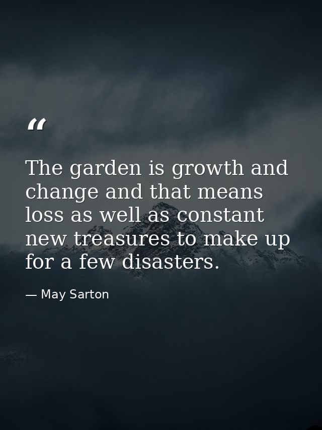 The garden is growth and change and that means loss as well as constant new treasures to make up for a few disasters. — May Sarton