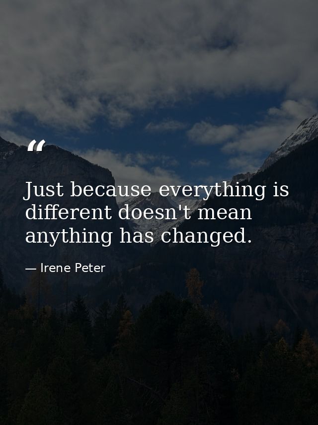 Just because everything is different doesn't mean anything has changed. — Irene Peter