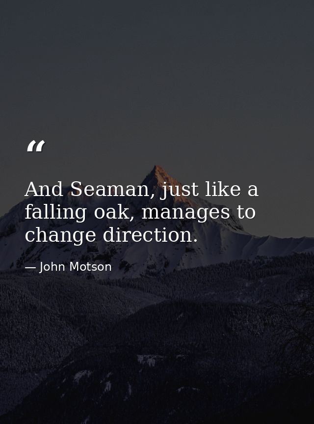 And Seaman, just like a falling oak, manages to change direction. — John Motson