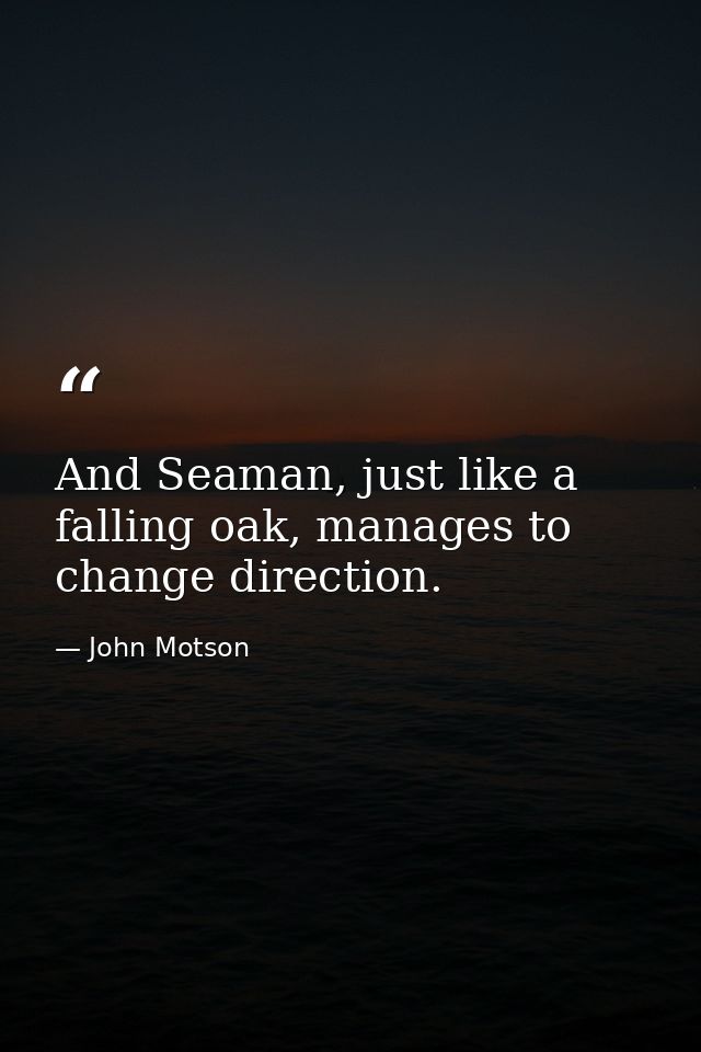 And Seaman, just like a falling oak, manages to change direction. — John Motson
