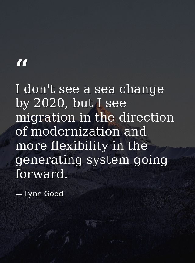 I don't see a sea change by 2020, but I see migration in the direction of modernization and more flexibility in the gene — Lynn Good