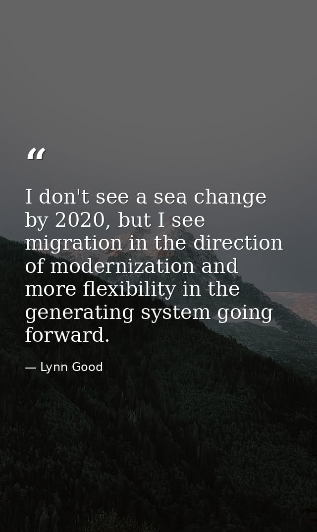 I don't see a sea change by 2020, but I see migration in the direction of modernization and more flexibility in the gene — Lynn Good
