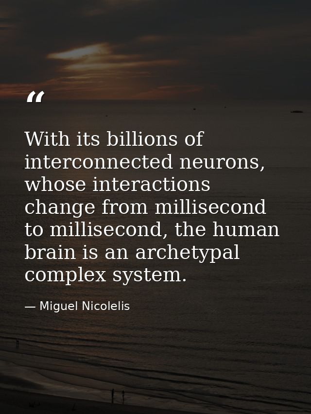 With its billions of interconnected neurons, whose interactions change from millisecond to millisecond, the human brain  — Miguel Nicolelis