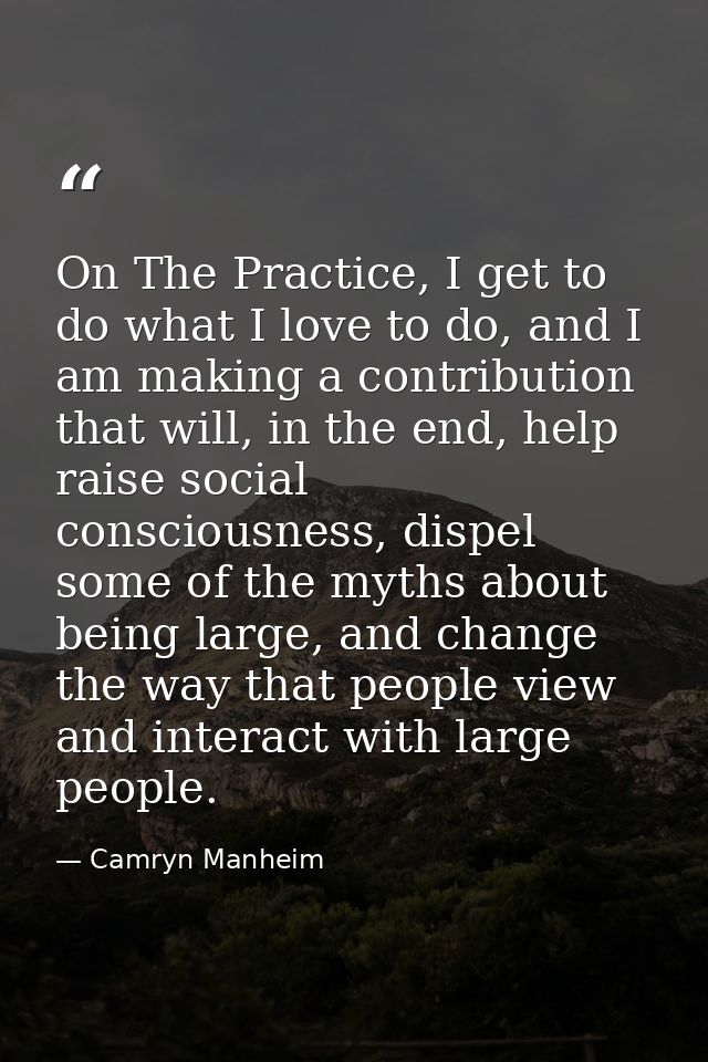 On The Practice, I get to do what I love to do, and I am making a contribution that will, in the end, help raise social  — Camryn Manheim