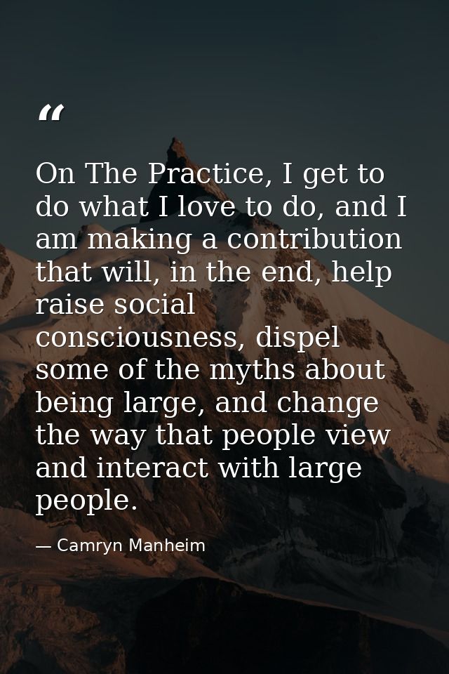 On The Practice, I get to do what I love to do, and I am making a contribution that will, in the end, help raise social  — Camryn Manheim