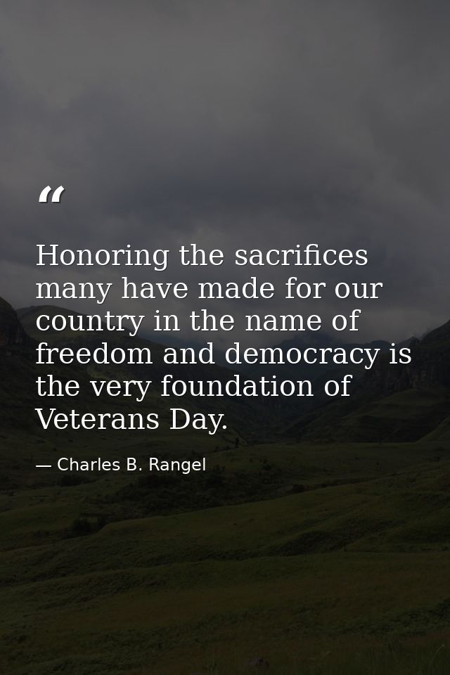 Honoring the sacrifices many have made for our country in the name of freedom and democracy is the very foundation of Ve — Charles B. Rangel