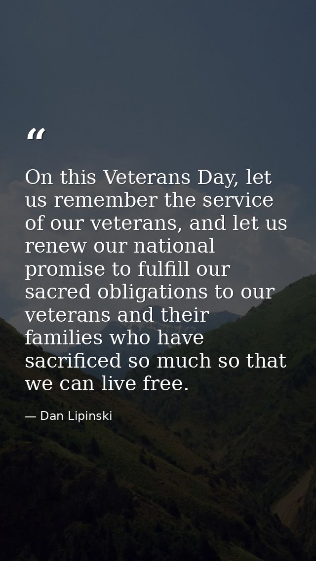 On this Veterans Day, let us remember the service of our veterans, and let us renew our national promise to fulfill our  — Dan Lipinski