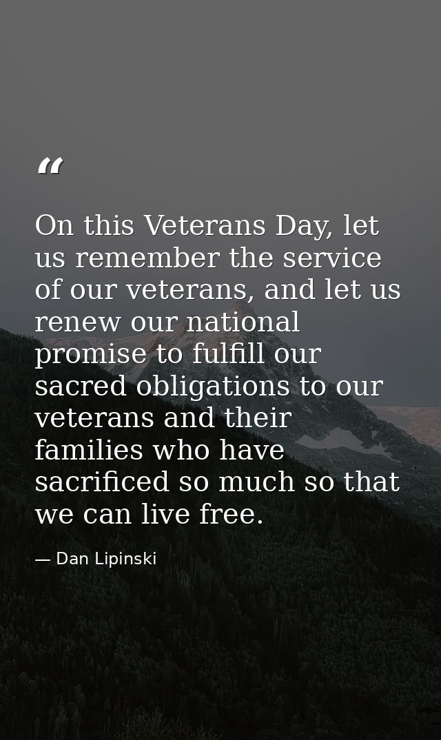On this Veterans Day, let us remember the service of our veterans, and let us renew our national promise to fulfill our  — Dan Lipinski