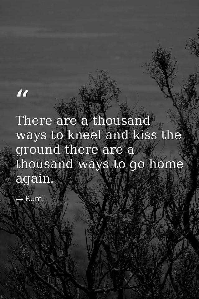 There are a thousand ways to kneel and kiss the ground there are a thousand ways to go home again. — Rumi