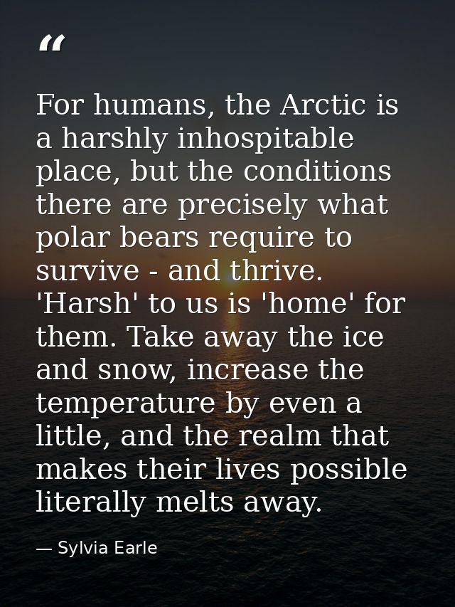 For humans, the Arctic is a harshly inhospitable place, but the conditions there are precisely what polar bears require  — Sylvia Earle