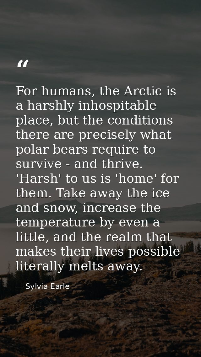 For humans, the Arctic is a harshly inhospitable place, but the conditions there are precisely what polar bears require  — Sylvia Earle