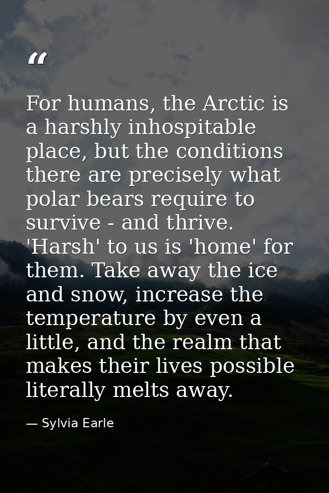 For humans, the Arctic is a harshly inhospitable place, but the conditions there are precisely what polar bears require  — Sylvia Earle
