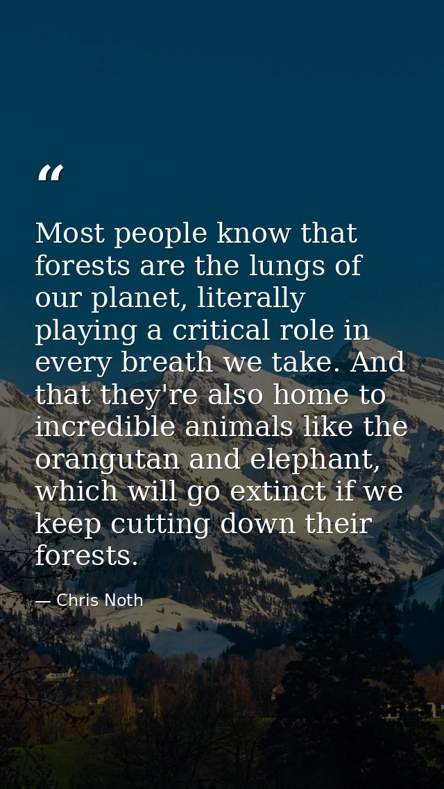 Most people know that forests are the lungs of our planet, literally playing a critical role in every breath we take. An — Chris Noth