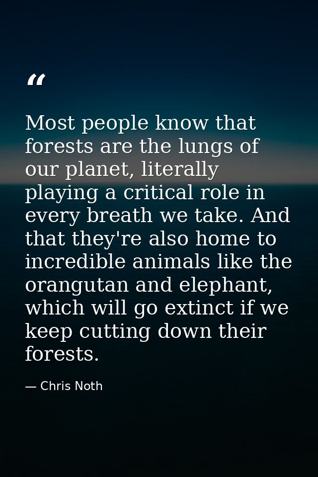 Most people know that forests are the lungs of our planet, literally playing a critical role in every breath we take. An — Chris Noth