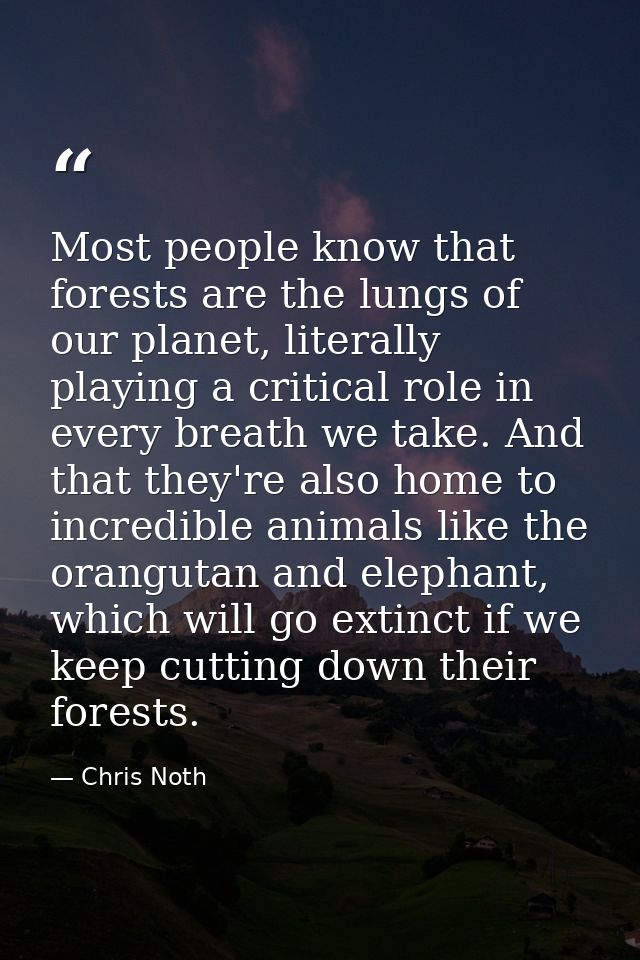 Most people know that forests are the lungs of our planet, literally playing a critical role in every breath we take. An — Chris Noth