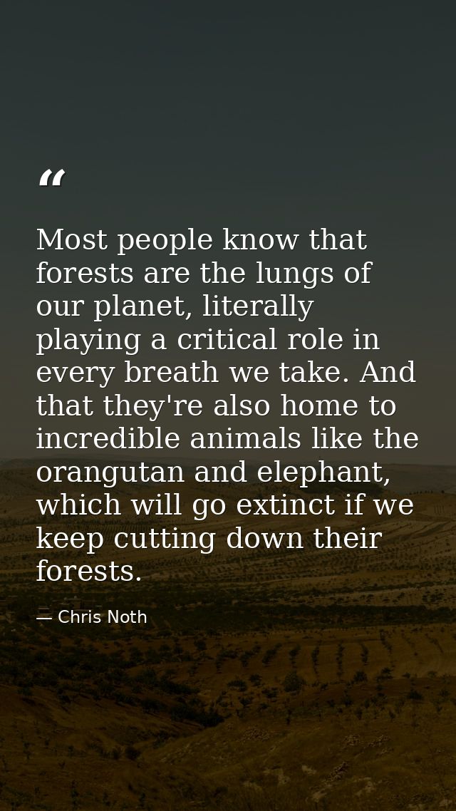 Most people know that forests are the lungs of our planet, literally playing a critical role in every breath we take. An — Chris Noth