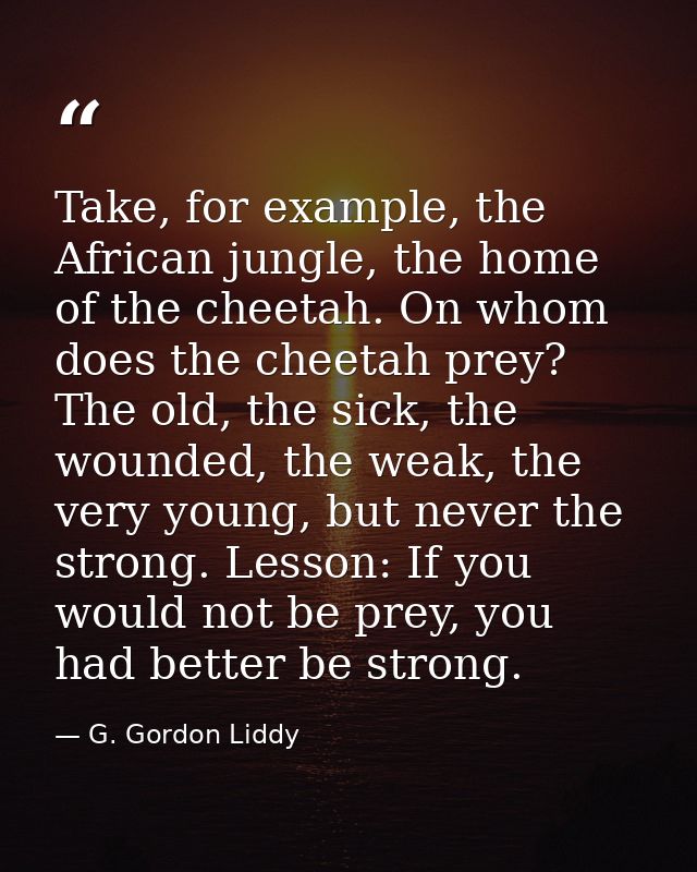Take, for example, the African jungle, the home of the cheetah. On whom does the cheetah prey? The old, the sick, the wo — G. Gordon Liddy