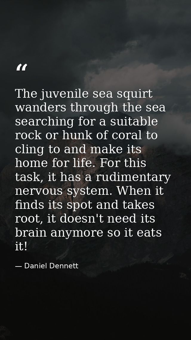 The juvenile sea squirt wanders through the sea searching for a suitable rock or hunk of coral to cling to and make its  — Daniel Dennett