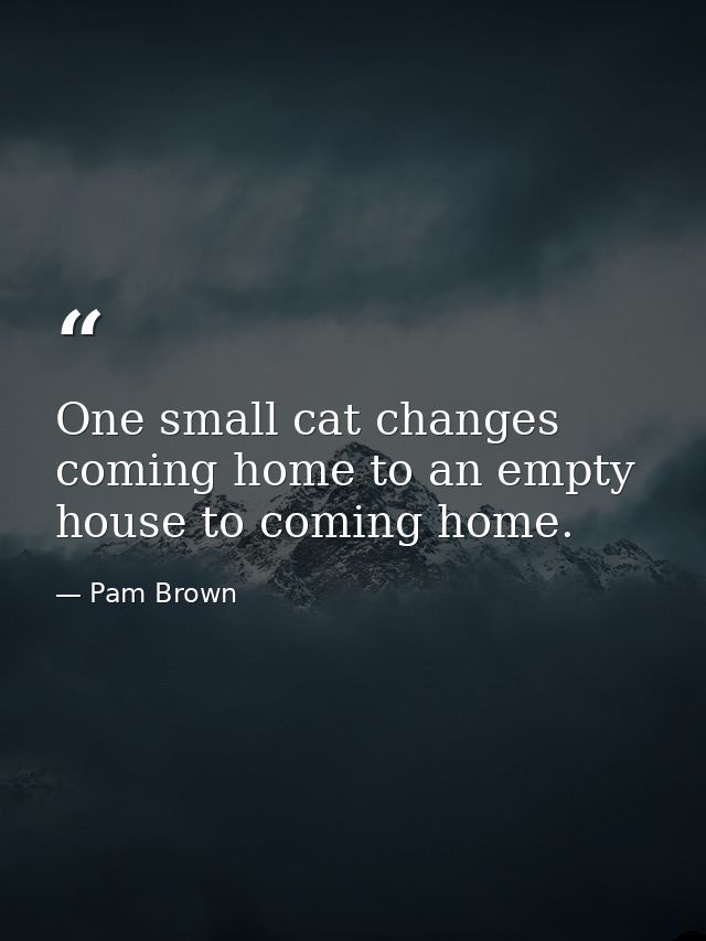 One small cat changes coming home to an empty house to coming home. — Pam Brown