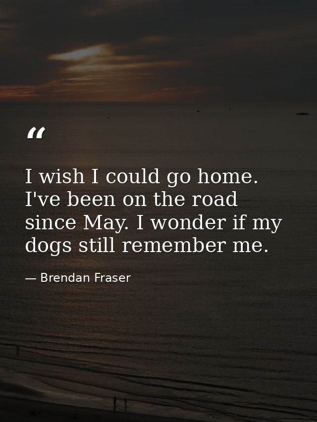 I wish I could go home. I've been on the road since May. I wonder if my dogs still remember me. — Brendan Fraser