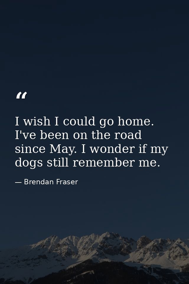 I wish I could go home. I've been on the road since May. I wonder if my dogs still remember me. — Brendan Fraser
