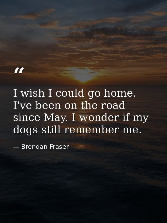 I wish I could go home. I've been on the road since May. I wonder if my dogs still remember me. — Brendan Fraser