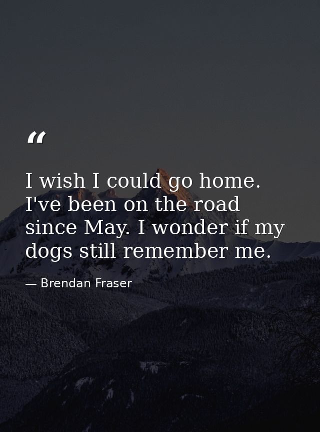I wish I could go home. I've been on the road since May. I wonder if my dogs still remember me. — Brendan Fraser