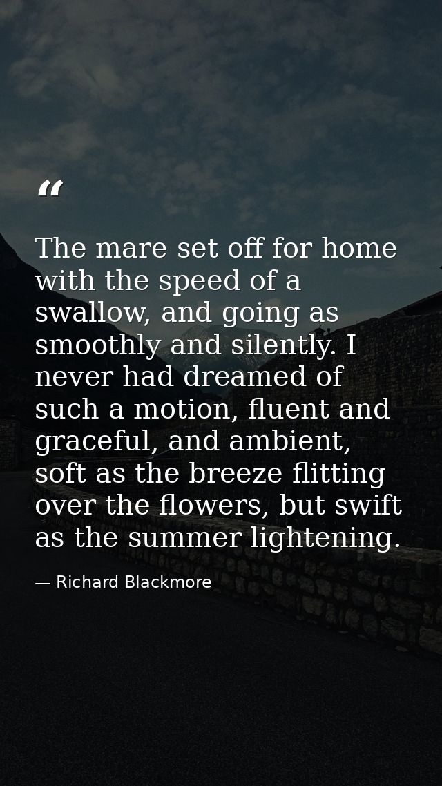 The mare set off for home with the speed of a swallow, and going as smoothly and silently. I never had dreamed of such a — Richard Blackmore