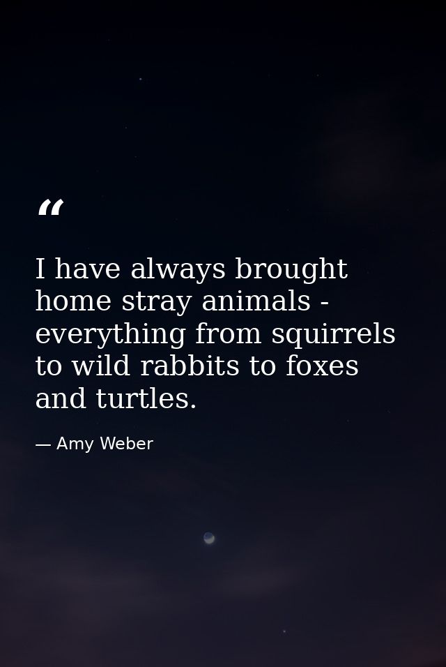 I have always brought home stray animals - everything from squirrels to wild rabbits to foxes and turtles. — Amy Weber
