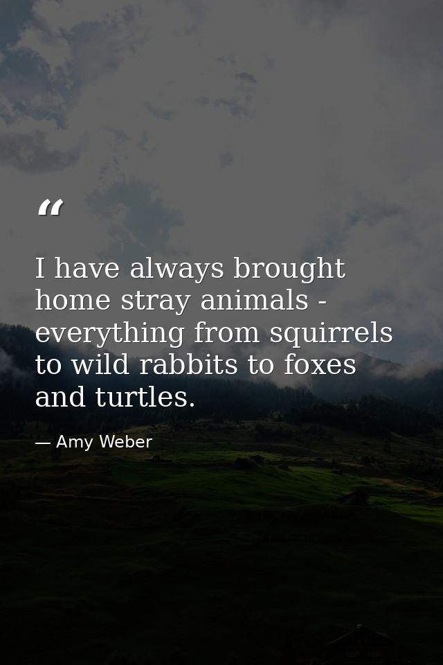 I have always brought home stray animals - everything from squirrels to wild rabbits to foxes and turtles. — Amy Weber