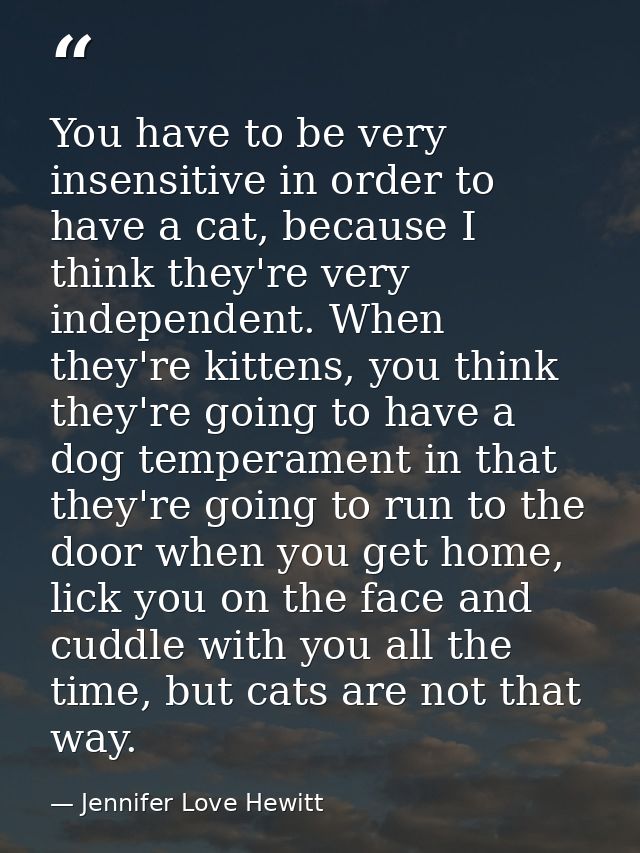 You have to be very insensitive in order to have a cat, because I think they're very independent. When they're kittens,  — Jennifer Love Hewitt