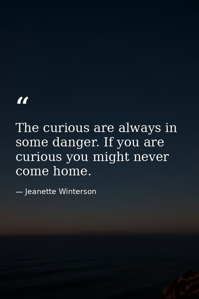 The curious are always in some danger. If you are curious you might never come home. — Jeanette Winterson