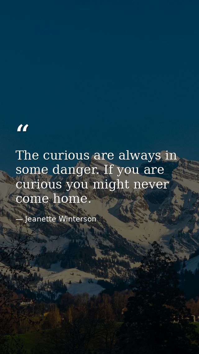 The curious are always in some danger. If you are curious you might never come home. — Jeanette Winterson