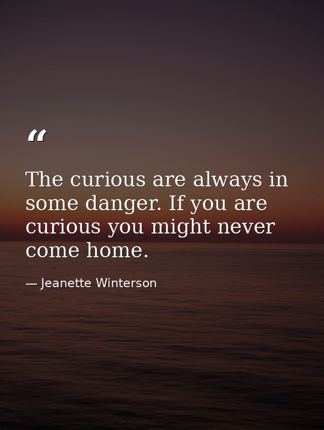 The curious are always in some danger. If you are curious you might never come home. — Jeanette Winterson