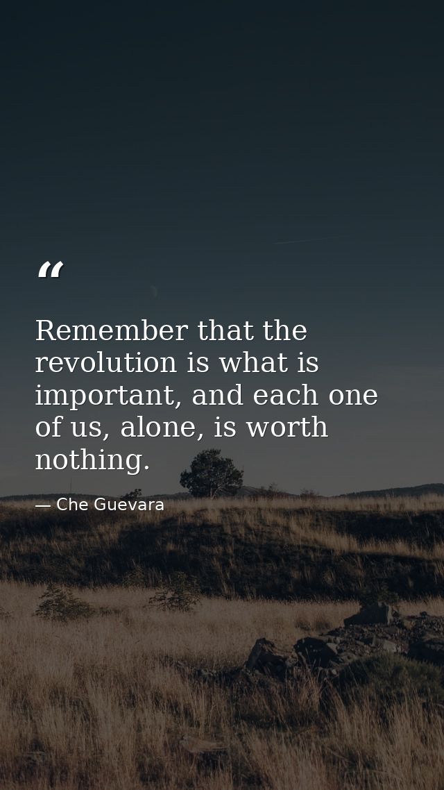 Remember that the revolution is what is important, and each one of us, alone, is worth nothing. — Che Guevara