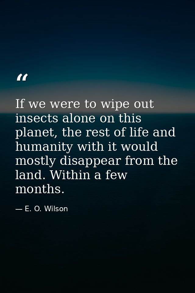 If we were to wipe out insects alone on this planet, the rest of life and humanity with it would mostly disappear from t — E. O. Wilson
