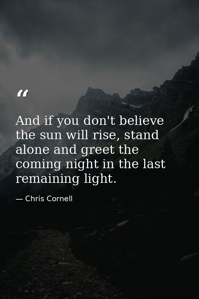 And if you don't believe the sun will rise, stand alone and greet the coming night in the last remaining light. — Chris Cornell