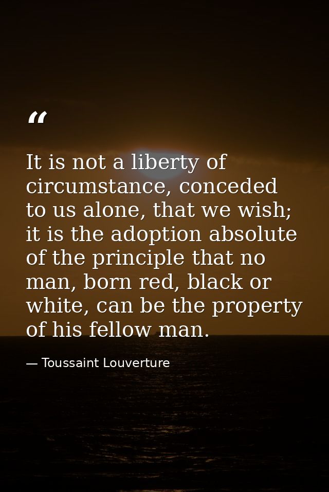 It is not a liberty of circumstance, conceded to us alone, that we wish; it is the adoption absolute of the principle th — Toussaint Louverture
