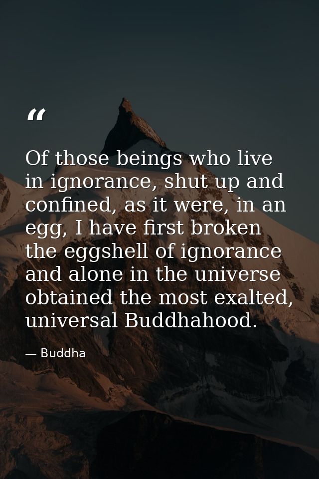 Of those beings who live in ignorance, shut up and confined, as it were, in an egg, I have first broken the eggshell of  — Buddha
