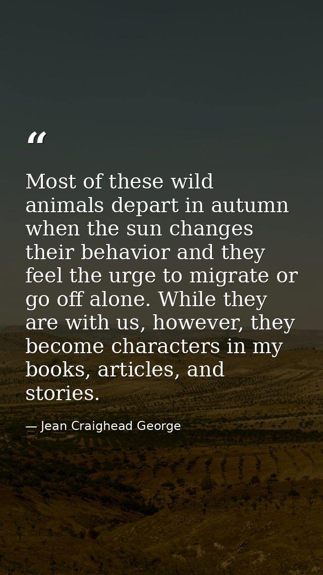 Most of these wild animals depart in autumn when the sun changes their behavior and they feel the urge to migrate or go  — Jean Craighead George