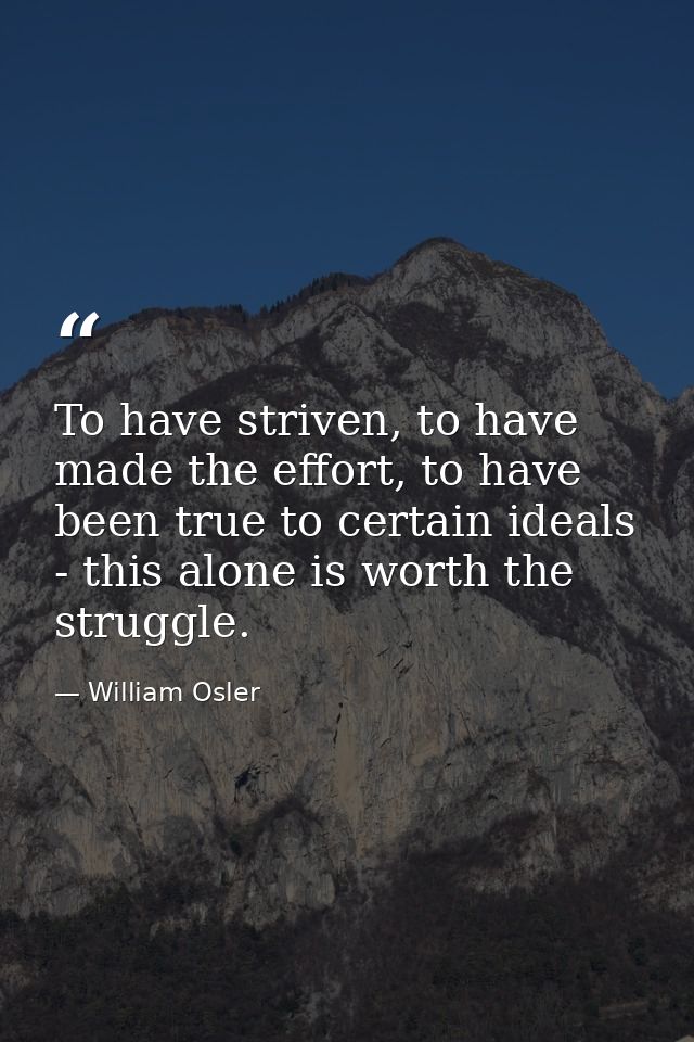 To have striven, to have made the effort, to have been true to certain ideals - this alone is worth the struggle. — William Osler