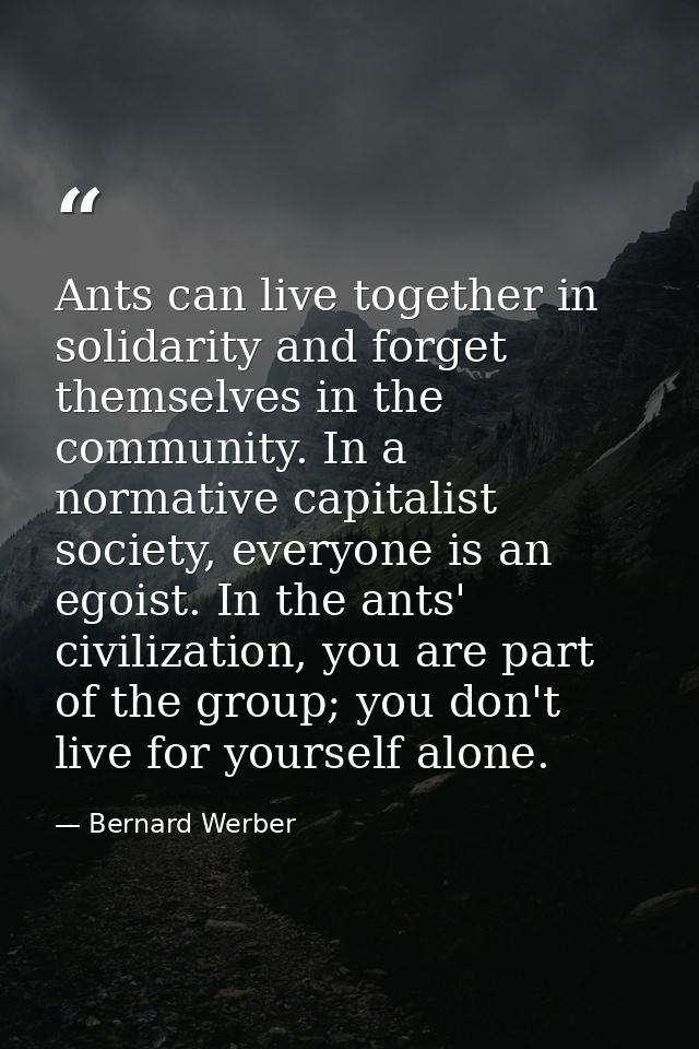 Ants can live together in solidarity and forget themselves in the community. In a normative capitalist society, everyone — Bernard Werber