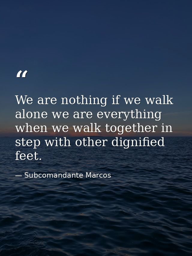 We are nothing if we walk alone we are everything when we walk together in step with other dignified feet. — Subcomandante Marcos