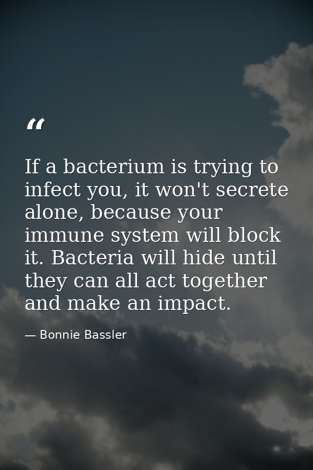 If a bacterium is trying to infect you, it won't secrete alone, because your immune system will block it. Bacteria will  — Bonnie Bassler