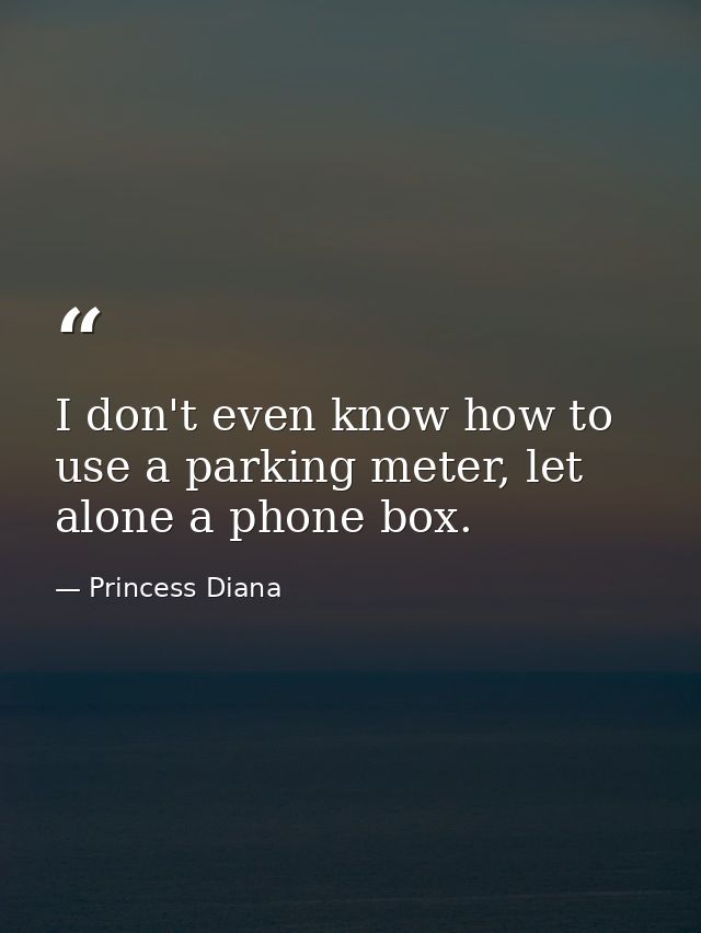 I don't even know how to use a parking meter, let alone a phone box. — Princess Diana