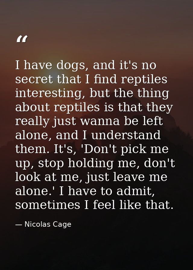 I have dogs, and it's no secret that I find reptiles interesting, but the thing about reptiles is that they really just  — Nicolas Cage