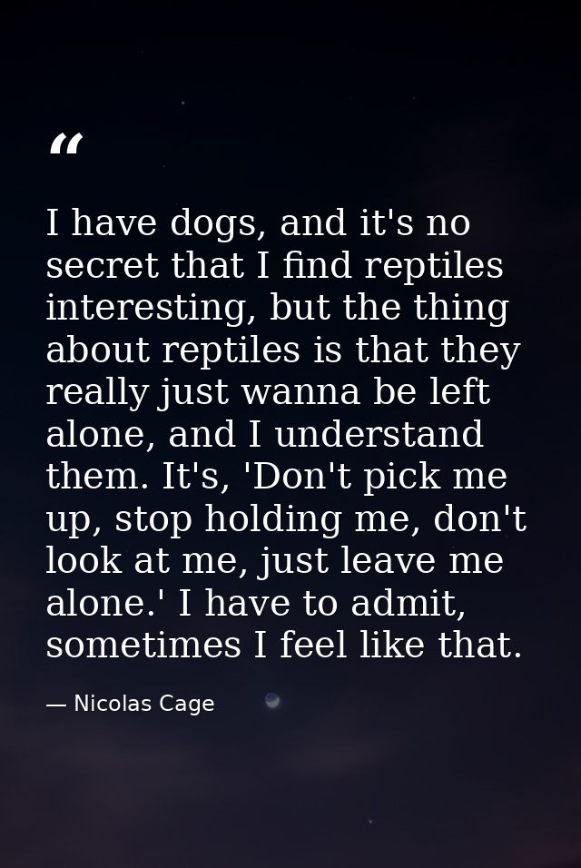 I have dogs, and it's no secret that I find reptiles interesting, but the thing about reptiles is that they really just  — Nicolas Cage