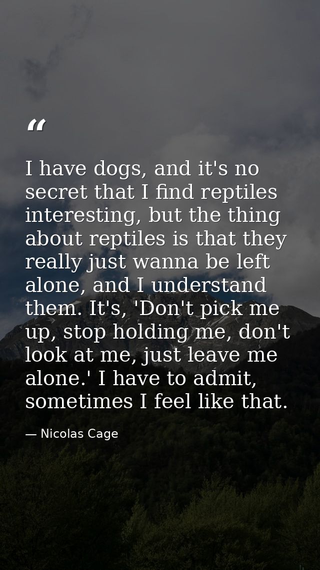 I have dogs, and it's no secret that I find reptiles interesting, but the thing about reptiles is that they really just  — Nicolas Cage