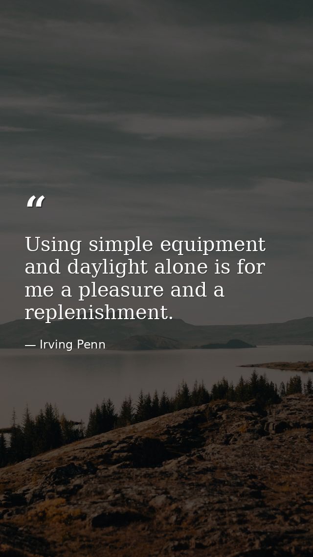 Using simple equipment and daylight alone is for me a pleasure and a replenishment. — Irving Penn