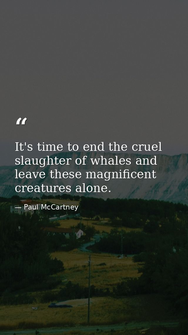 It's time to end the cruel slaughter of whales and leave these magnificent creatures alone. — Paul McCartney